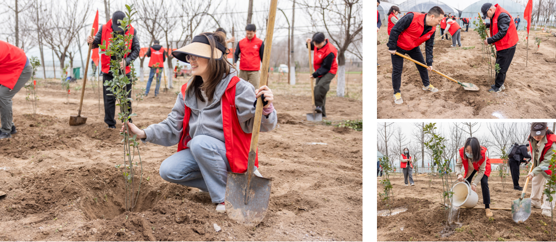 141741946381489884.png 图片1.png