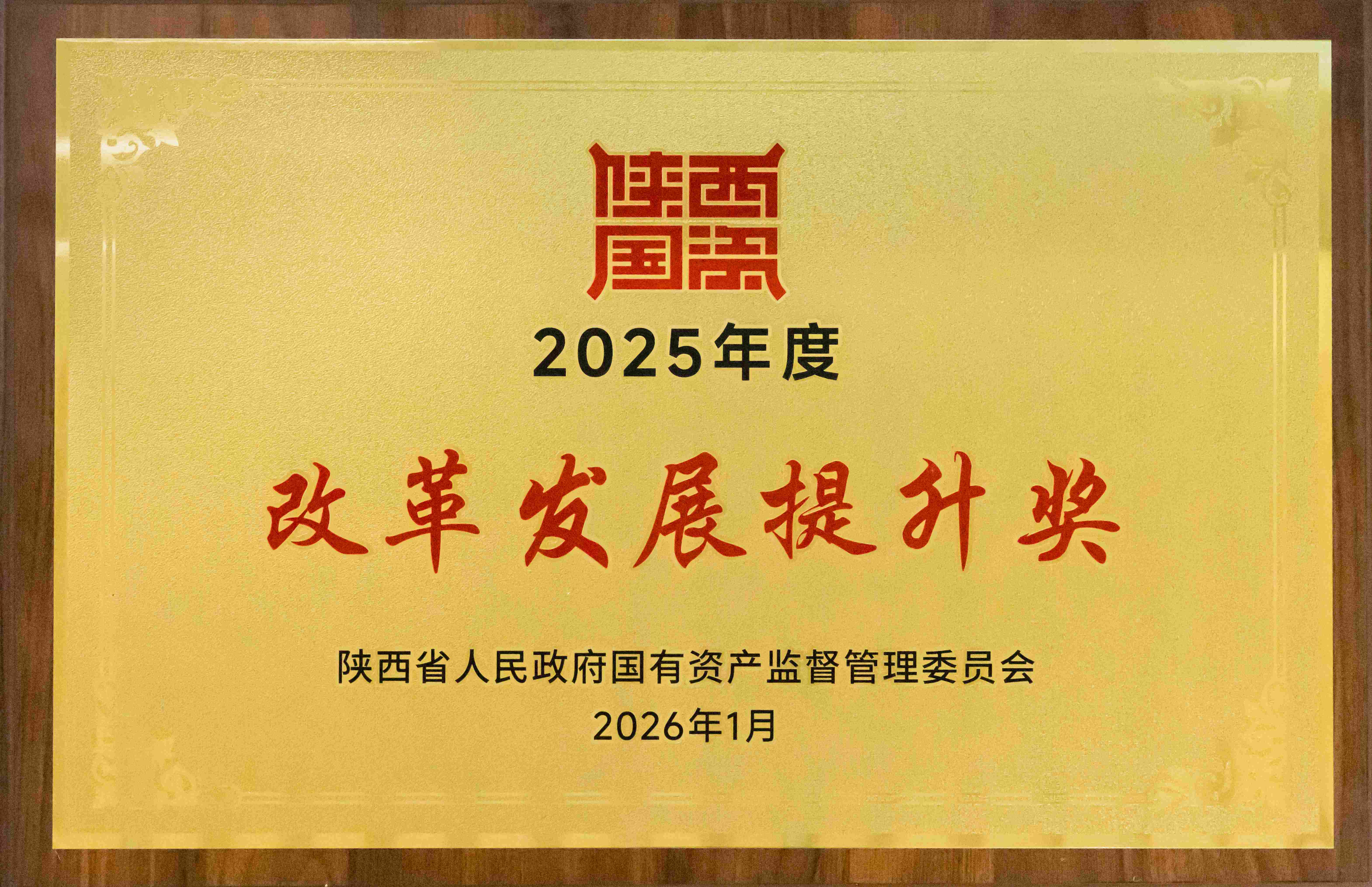 191768782762886276.jpg 313A0331-4.jpg